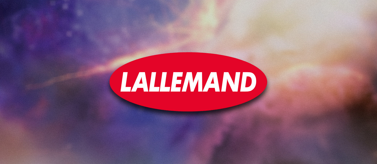 Lallemand Yeast