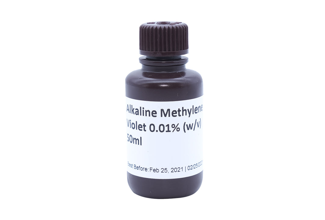 MA1422 Alkaline Methylene Violet (AMV) Stain